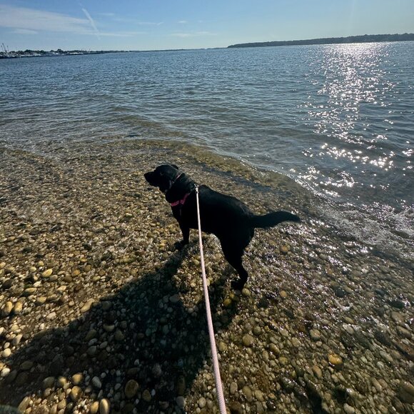 Meet your Posher, GG - Picture 1 of 1